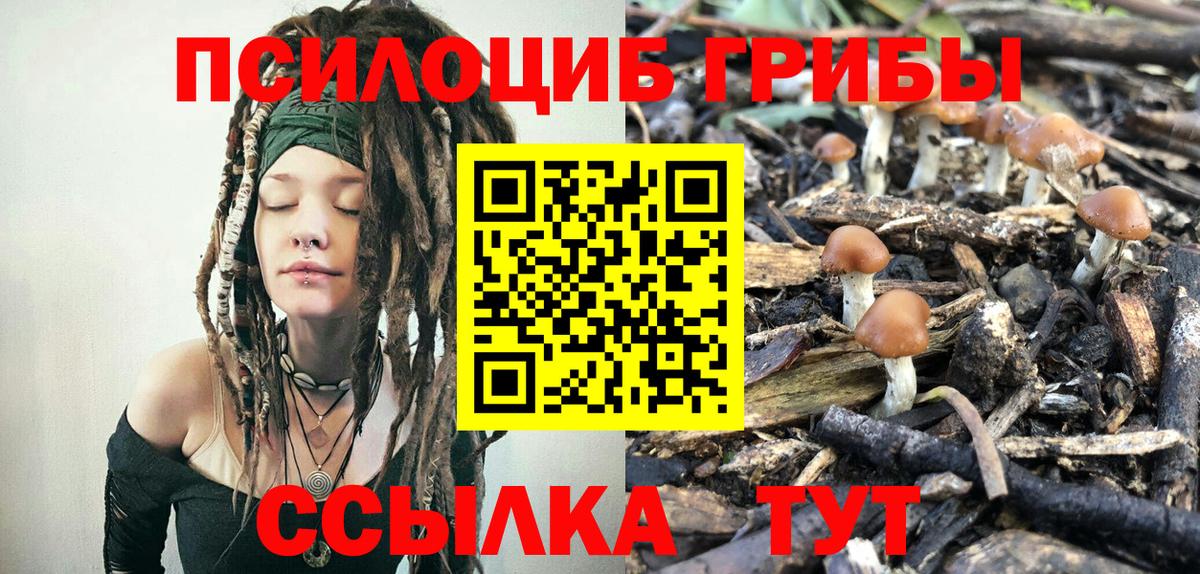 Псилоцибиновые грибы Magic Shrooms  Вход с VPN  закладка  Новоуральск 