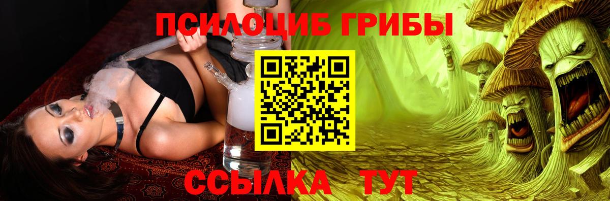Псилоцибиновые грибы мицелий Новоуральск